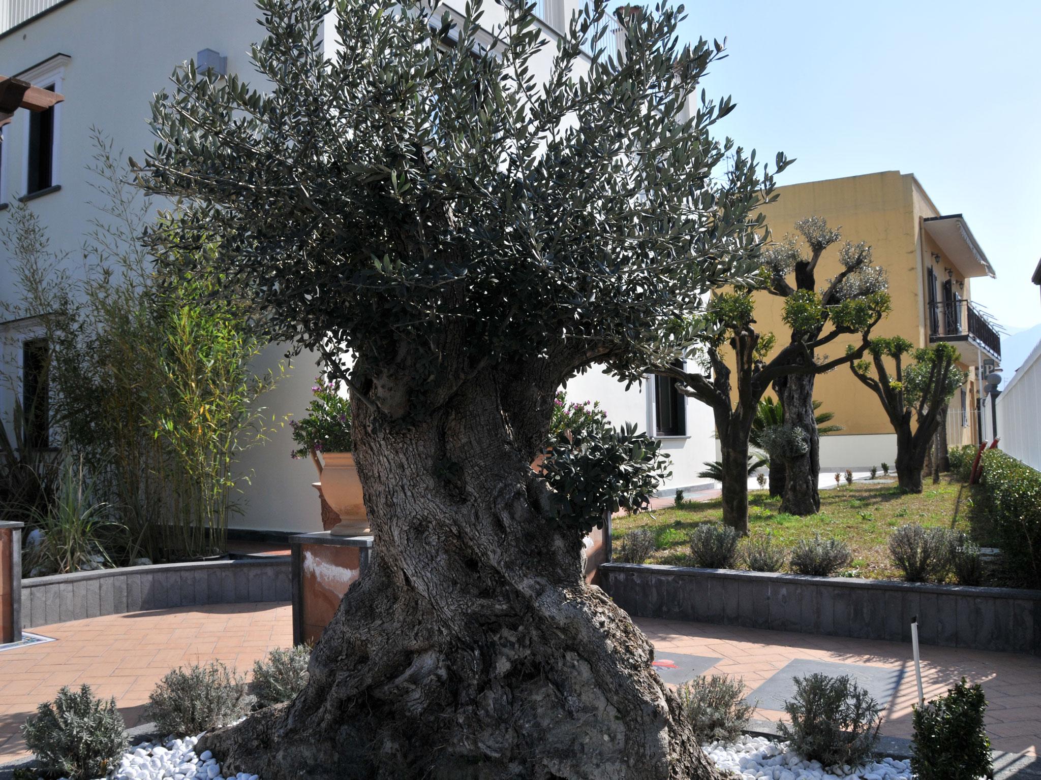 Costa Hotel Pompei Bagian luar foto